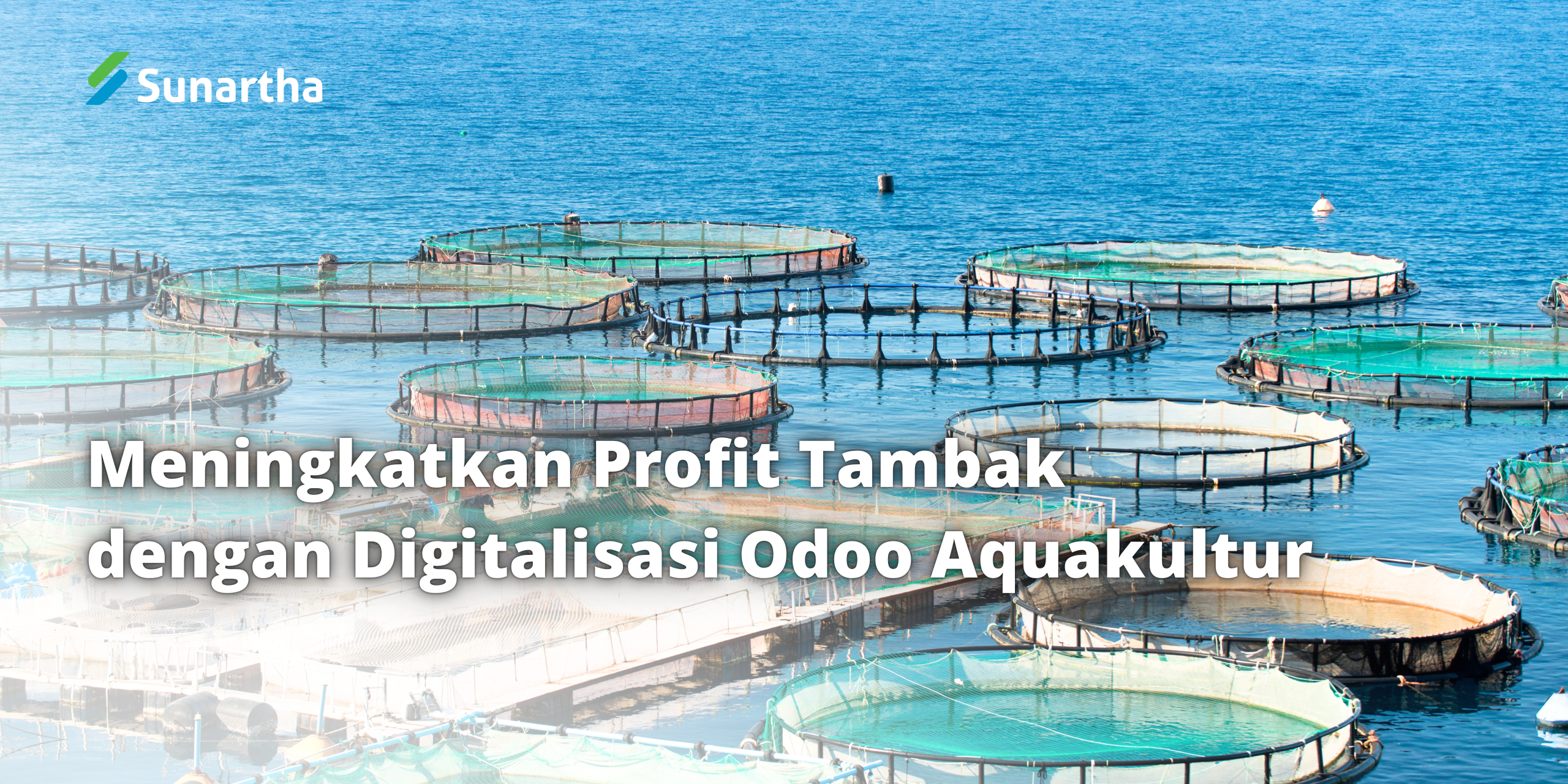 Meningkatkan Profit Tambak dengan Digitalisasi Odoo Aquakultur